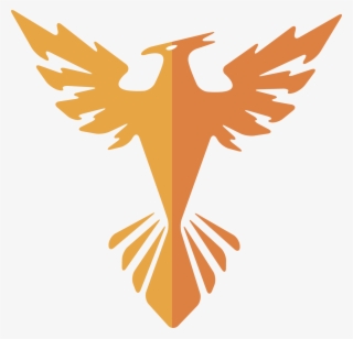 Storm Phoenix Accommodations - Lbc Cycle, Inc. #8331425