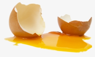 Broken Egg - Tache Jaune D Oeuf #8331511