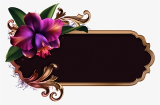 Romantic Orchids - Cattleya #8333165