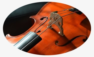 Violin And Viola - - Musical Instrument Photography Close Up #8333626