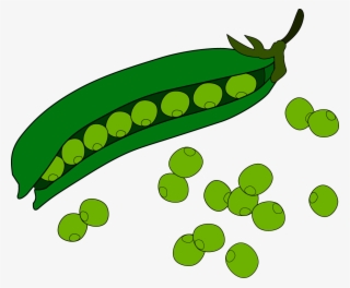 Pea Fruit Clip Art - えん どう 豆 イラスト #8334899
