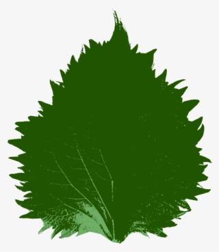 Wolverine Clipart 3d Png - Clip Art #8334981