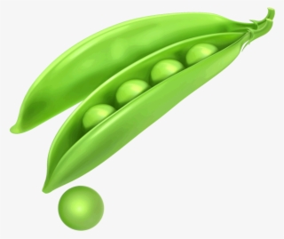 Peas Png Image Free Download Searchpng - رسم فاصولياء خضراء #8335081