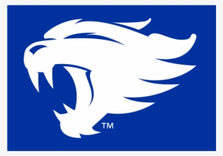 Kentucky Wildcats Iron On Stickers And Peel-off Decals - Kentucky Wildcat New Logo #8335472