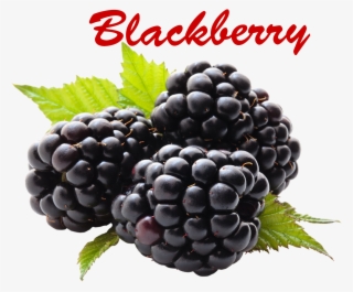 Blackberry Fruit #8335576