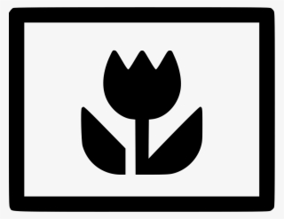 Png File - Macro Photography Icon #8335772