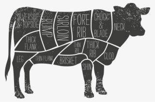 1200 X 791 11 - Cow Decal #8336319