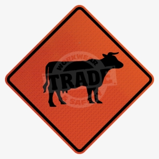 Everglades National Park #8336707