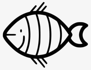 Clown Fish Comments - Coral Reef Fish Drawing #8336763