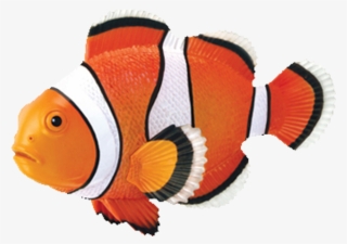 4d Puzzle - Clownfish - Fish 4d #8336966
