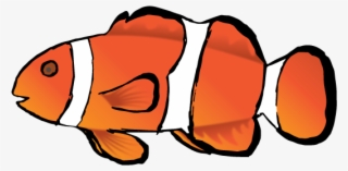 Next I Added Some Life To My Fish By Using The Pen - Coral Reef Fish #8337054