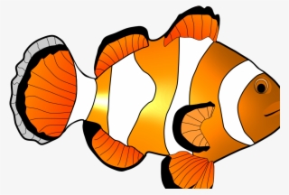 Home Images Clown Fish Clip Art Clown Fish Clip Art - Clip Art #8337242