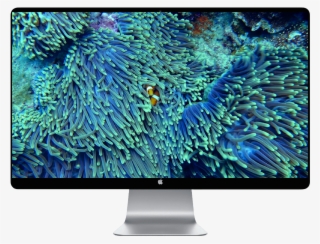 Score 50% - Problemas De Saude A Falta De Iodo Pode Causar #8337597