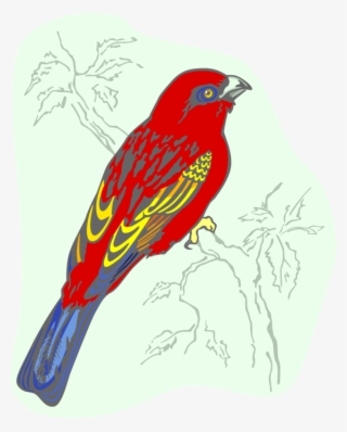 Vector Illustration Of Feathered Vertebrate Red Bird - Finch #8338982