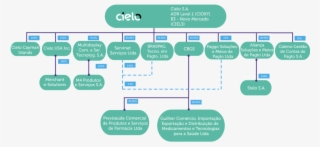 Corporate Structure - Diagram #8339515