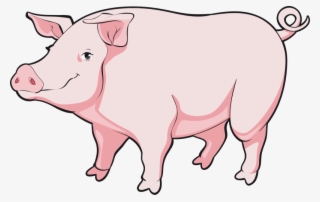 Cartoon Pig Png - Realistic Pig Clip Art #8342506