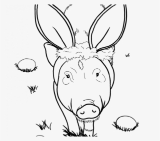 Pig Book Istanbulescort Ilan - Sketch #8342699