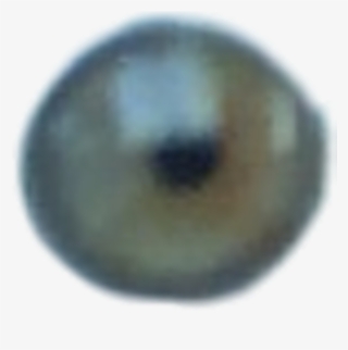 Green Eye Png #8342970