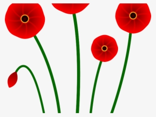 Orange Flower Clipart Single Flower - Poppy #8343696
