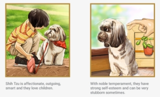 Shih Tzu - Shih Tzu Comics #8344144