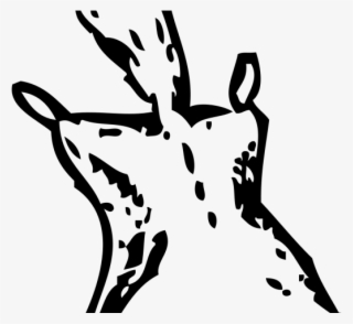 Flying Squirrel Clipart Black And White - Black And White Picture Of Flying Squirrel #8344584