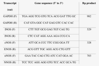 Rat Primer Sequences For The Nos Isoforms - Number #8344675