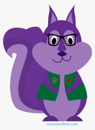 Top Baltimore Recruiters And Purple Squirrel - Purple Squirrel #8345108