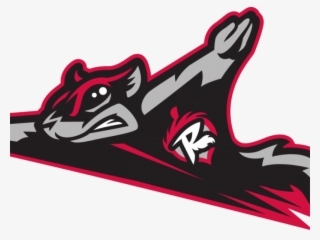 Png Library Library Fredericksburg Community Night - Flying Squirrel Baseball #8345505