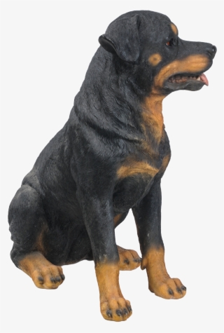 Rottweiler #8345547