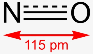 Nitric Oxide #8345633