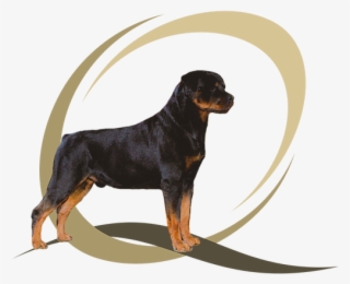 The Dogs Of Jill Kessler- Miller - Rottweiler #8345810