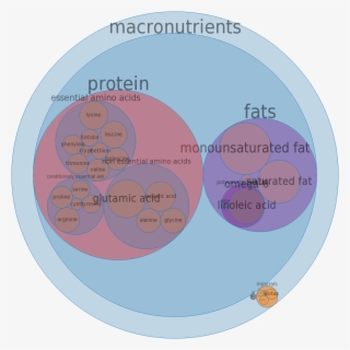 Chicken, Leg, Meat And Skin, Raw All Nutrients By Relative - Brain Composition Dry Weight #8349181
