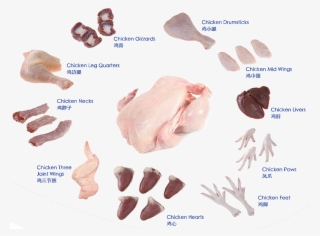 Chicken - Boneless Skinless Chicken Thighs #8349212