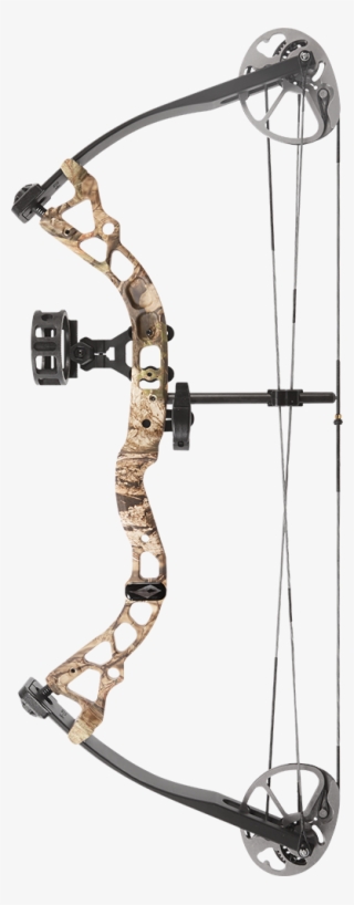 Bows - Diamond Atomic Bow Case #8352510