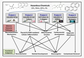 The Duke University Superfund Research Center Co-sponsors - Diagram #8353968