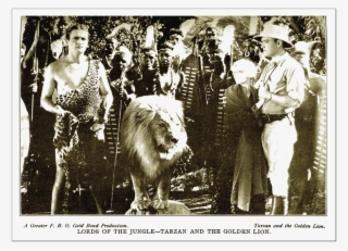 Vintage Clothing #8354802