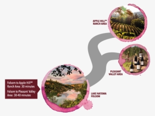 Graphic Design #8355260