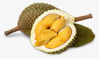 Durian Png #8356238