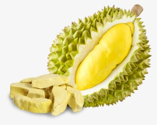 Durian Alibaba #8356622