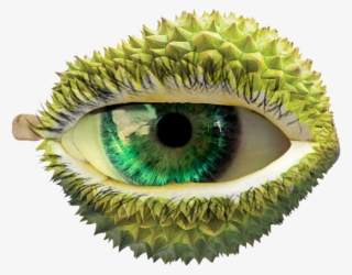 Durian Png #8357038