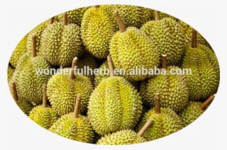 Durian Pulp Yellow, Viscous, Juicy, Weakness In Sweet - Durian #8357960 Durian Pulp Yellow, Viscous, Juicy, Weakness In Sweet - Durian #8357960
