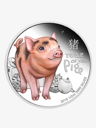 The Singapore Mint - Year Of The Pig 2019 Coins #8358282