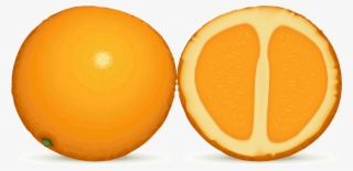 File - Orange Fruit - Svg - Love Oranges #8359174