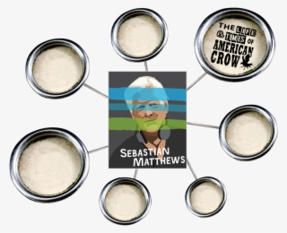 Eye Shadow #8360655 Eye Shadow #8360655