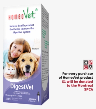 Digestvet - Dog #8360992