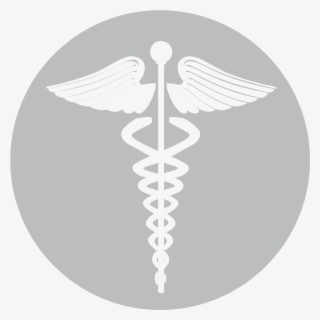 Icon Example - Green Medical Cross Logo #8361148