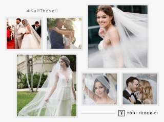 See The Entire Collection → - Veil #8361869 See The Entire Collection → - Veil #8361869