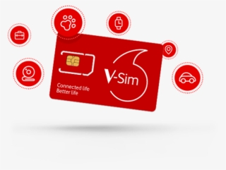 For Ongoing Coverage/tracking, A Single Fixed Monthly - Vodafone V Sim #8363787
