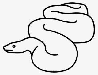 Anaconda Coloring Page - Dibujos De Anaconda Para Dibujar #8363789