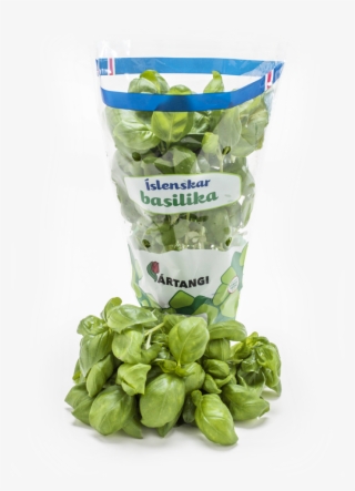 Basil - Basilika Grænmeti #8363878